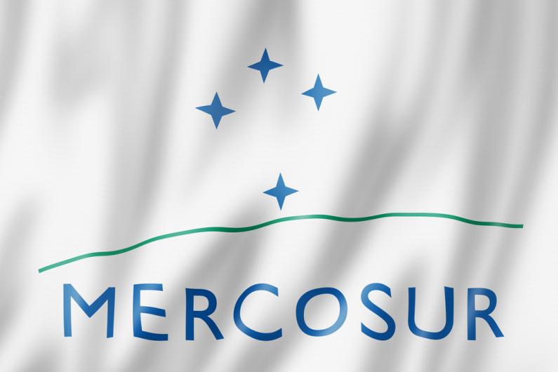 Kom alles te weten over het Mercosur-akkoord en de vertaling ervan Kom alles te weten over het Mercosur-akkoord en de vertaling ervan
